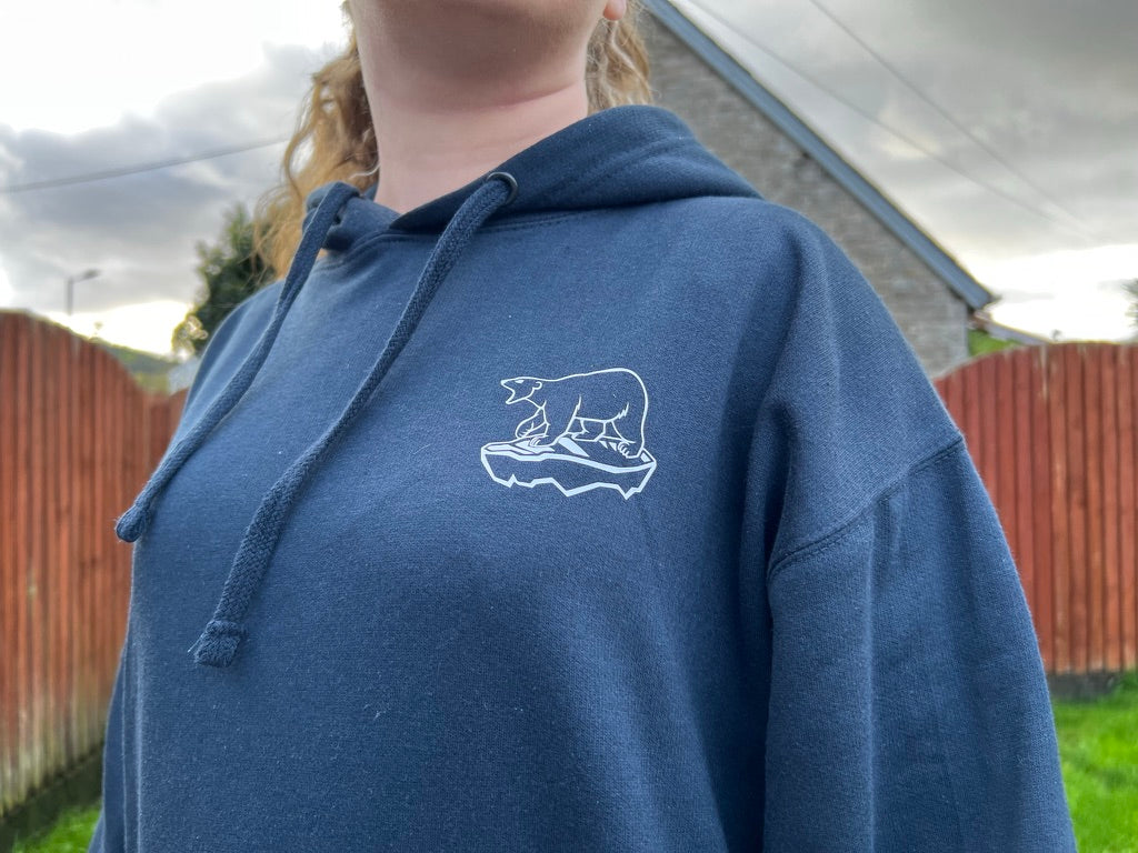 Arctic 8 mission visual