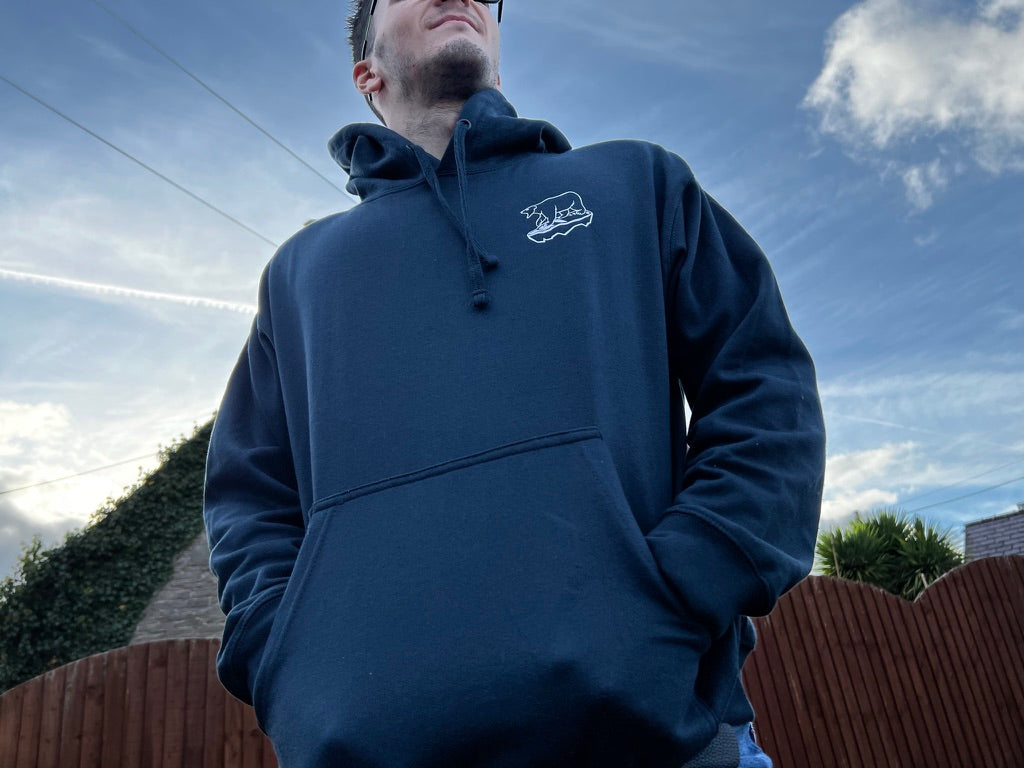 Arctic 8 vision visual