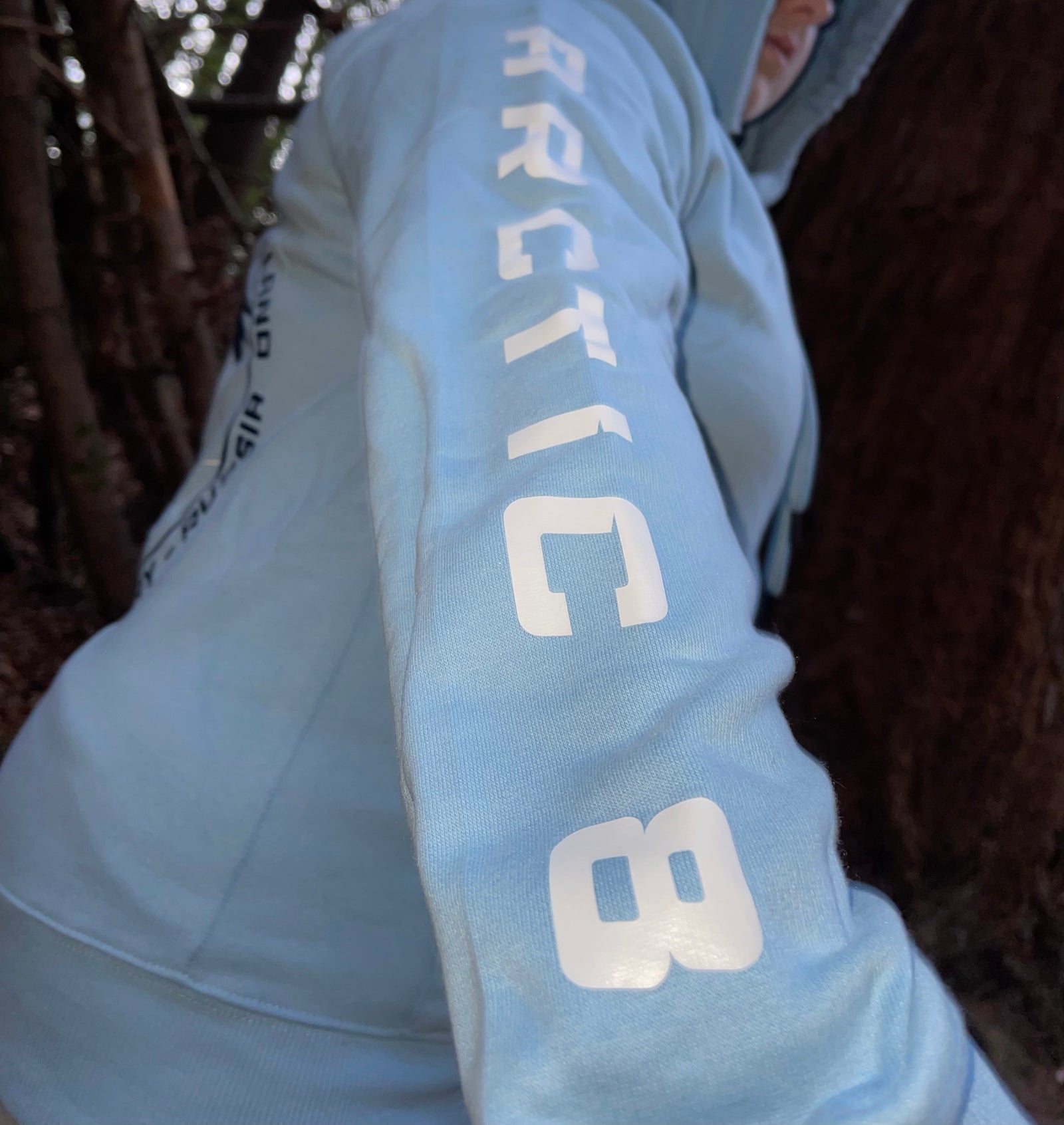 Arctic 8 vision visual